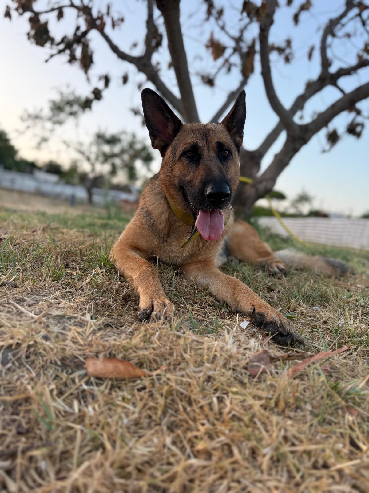 Mia