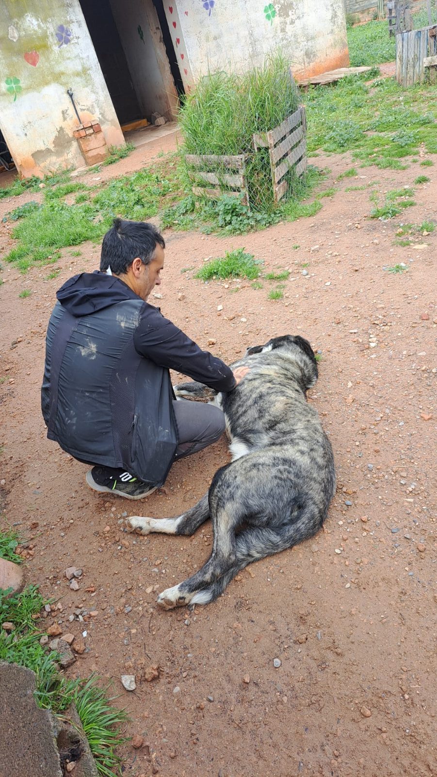 Foto de TUCO