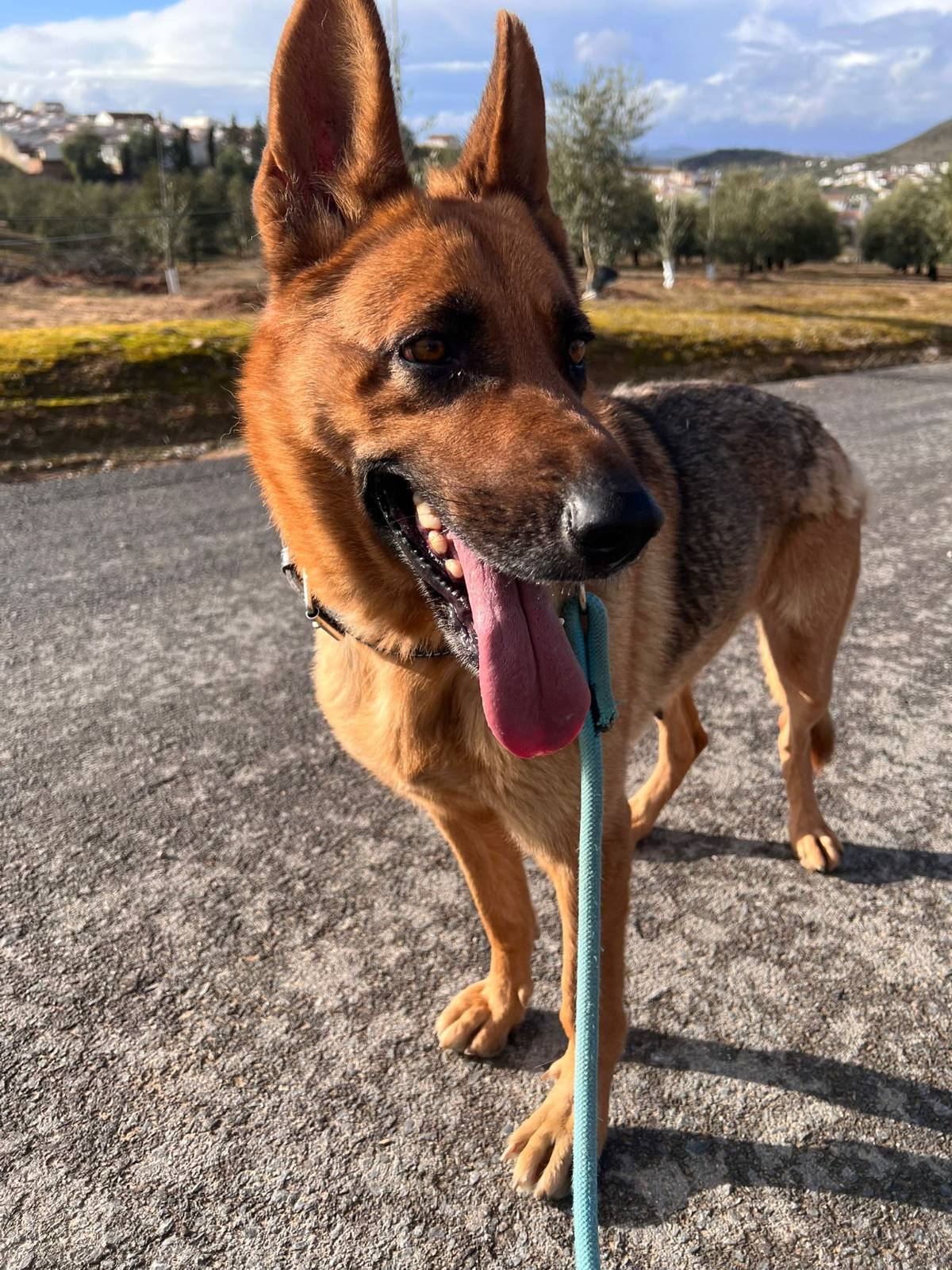 LUNA