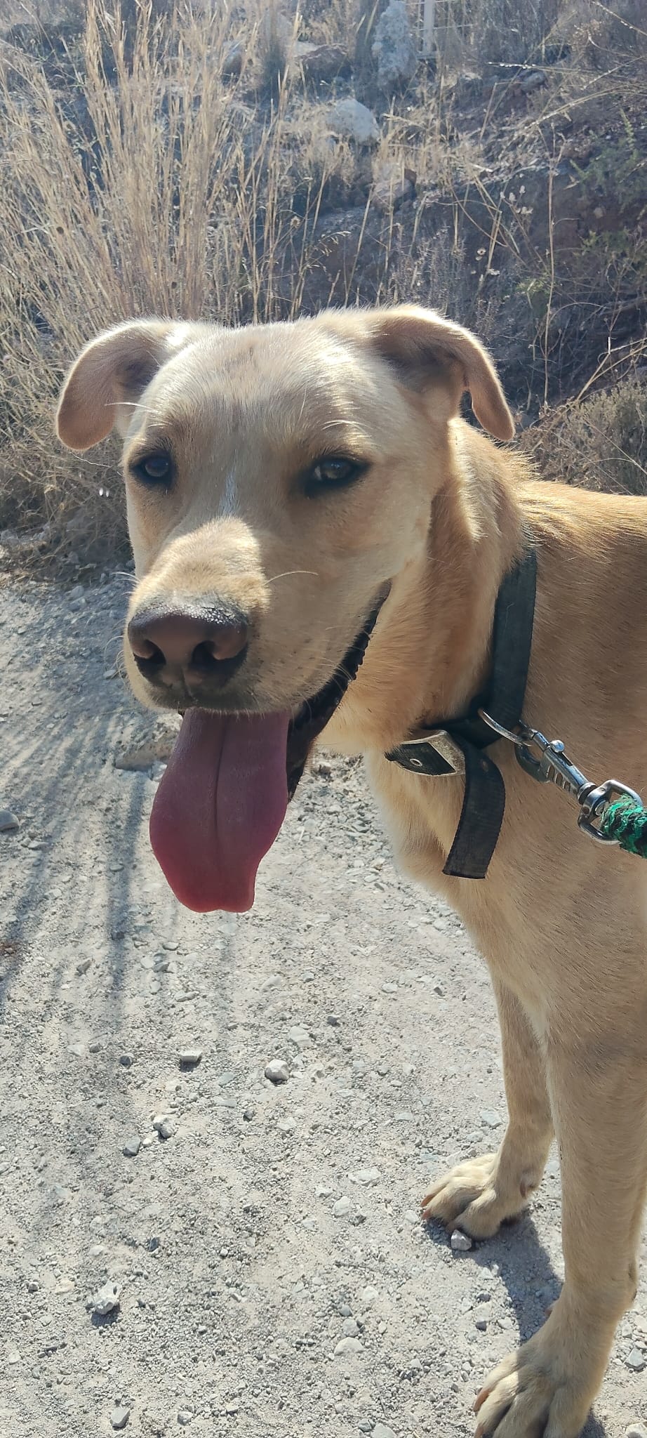 Foto de ROCKI 9-25