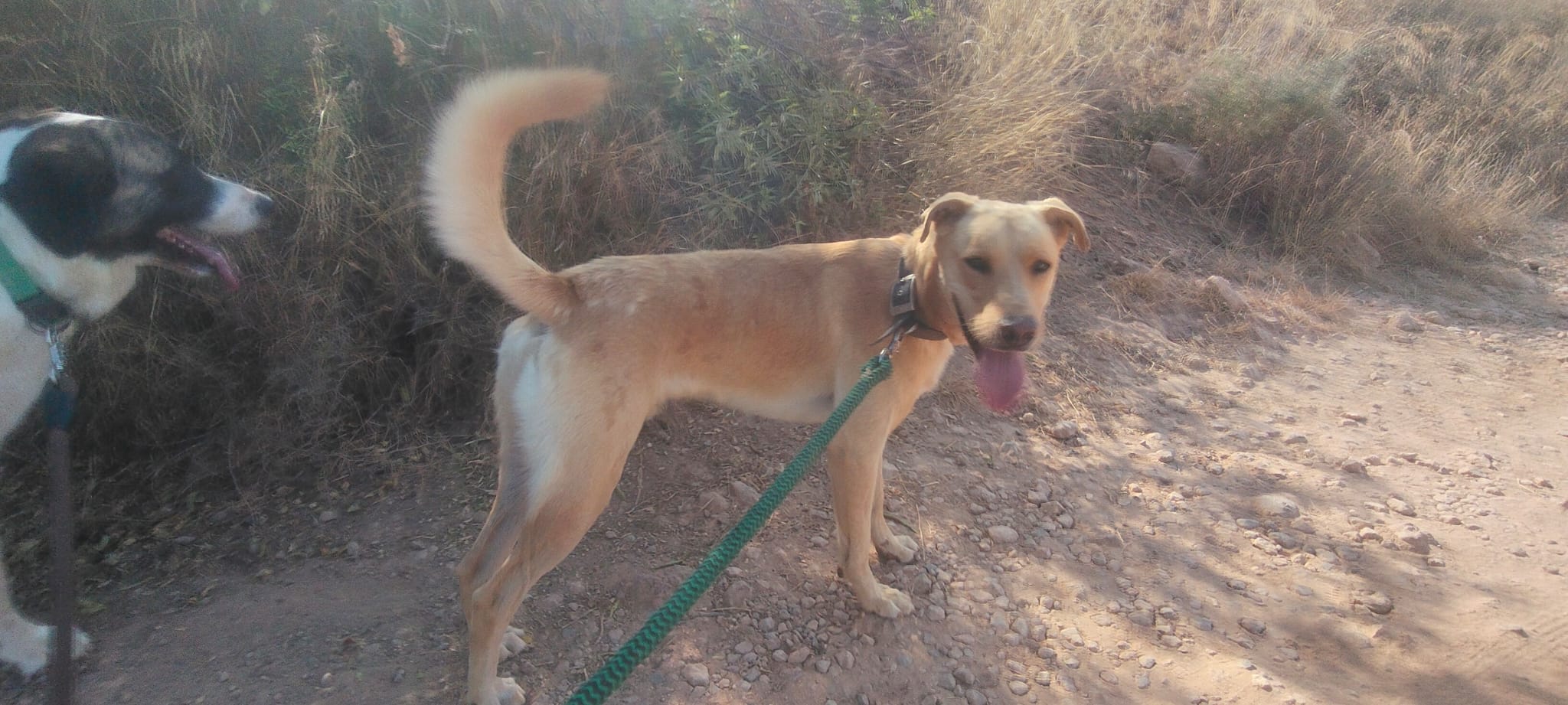 Foto de ROCKI 9-25