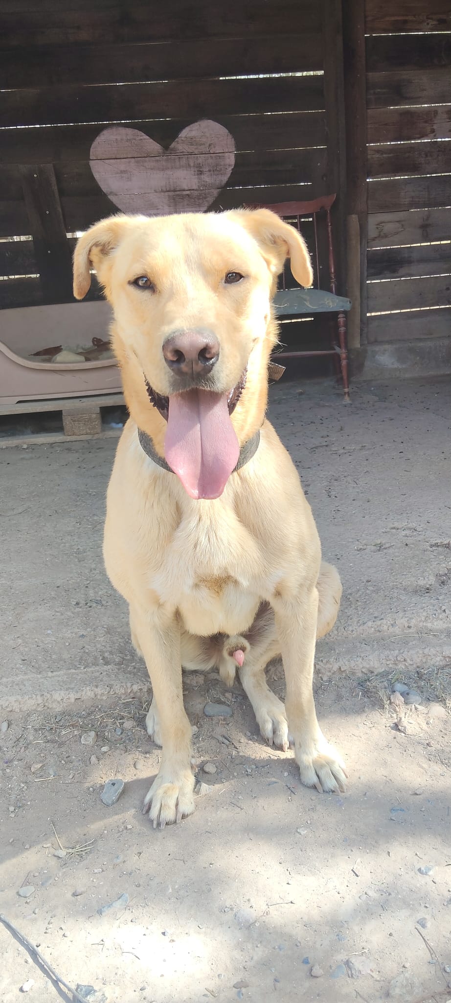 Foto de ROCKI 9-25