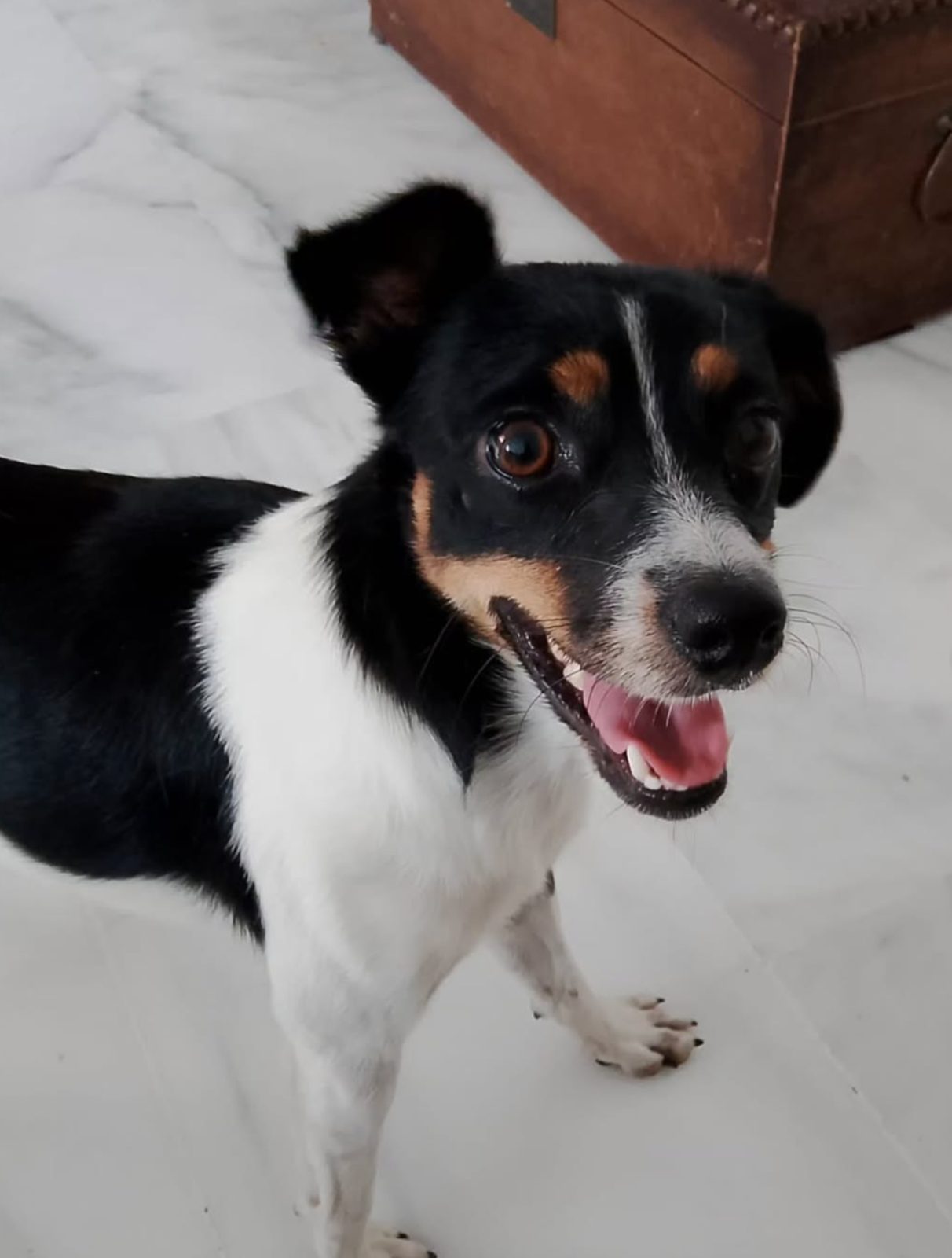 Paco
