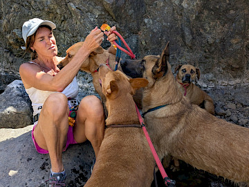 Foto von Angelo