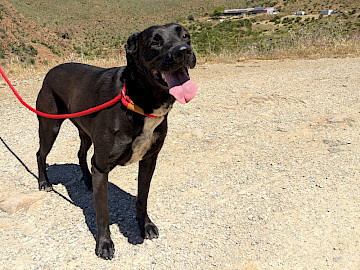 Foto di Kira