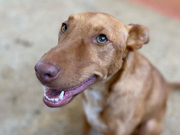 Foto von Kobe