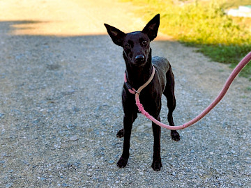 Foto von Bella