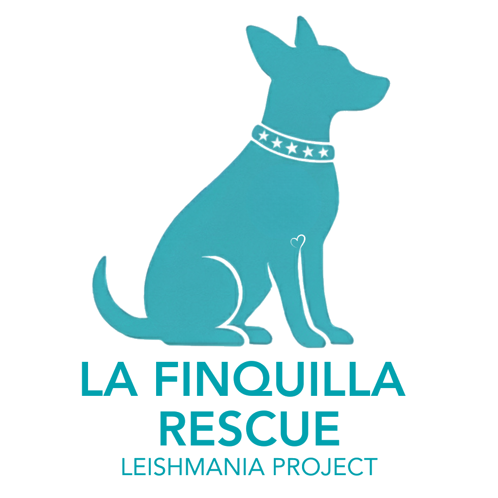 La Finquilla Rescue